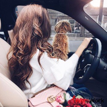 Приглашаем в сферу развлечений