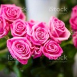 Ты молода и прекрасна? Хочешь лучшей жизни?