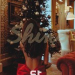 VIP модель сопровождения